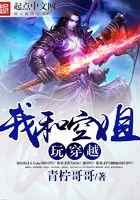 我和空姐玩穿越