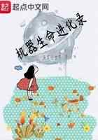 机器生命进化录