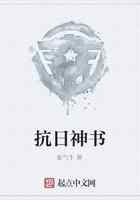 抗日神书
