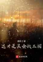 这才是真全战三国