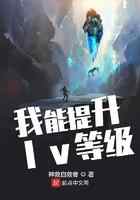 我能提升lv等级