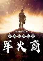 从亮剑开始的军火商