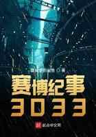 赛博朋克3033