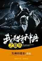 我是特种兵之狼兵