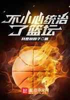 不小心统治了篮坛