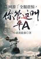 网游：全服震惊，你管这叫平A