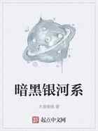 暗黑银河系