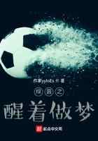 绿茵之醒着做梦