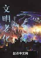 文明老化