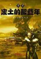 我在废土的那些年