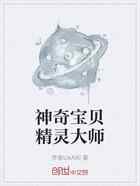 神奇宝贝精灵大师