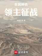 全民神祇：领主征战
