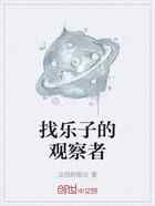 找乐子的观察者