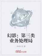 幻影：第三类业务处理局