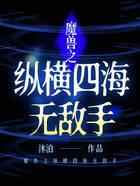 魔兽之纵横四海无敌手