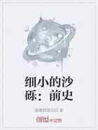 细小的沙砾：前史