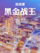 武战道：黑金战王