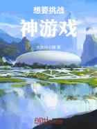 想要挑战神游戏
