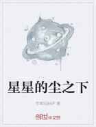 星星的尘之下